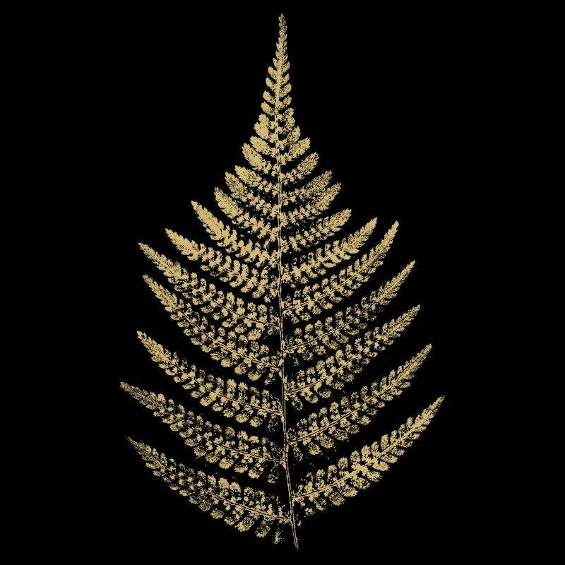 Fougère feuille