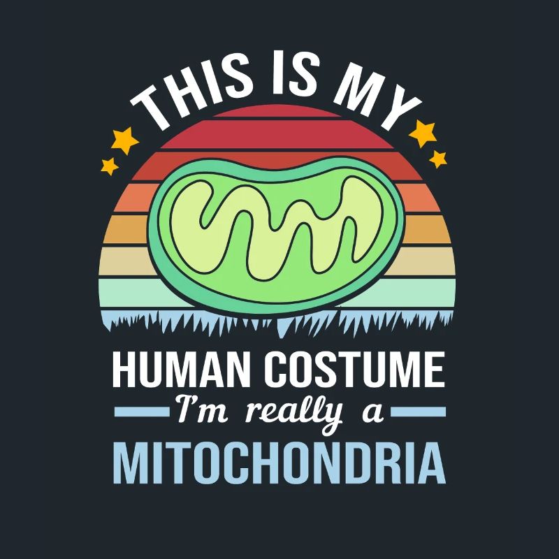 Formule structurelle de la molécule