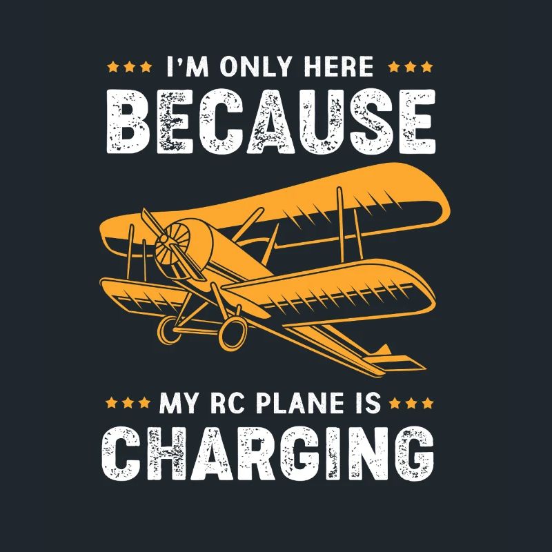 Modellflugzeug Modellflug