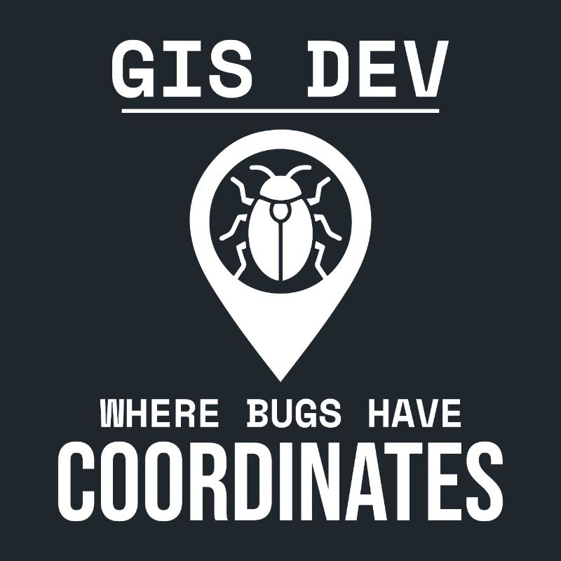 GIS Dev Debugging Coordinates Geospatial Bug