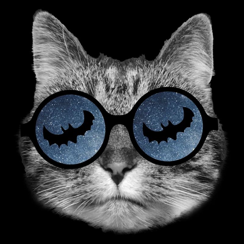 Chat d’Halloween