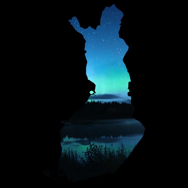 Blue Finland Carte