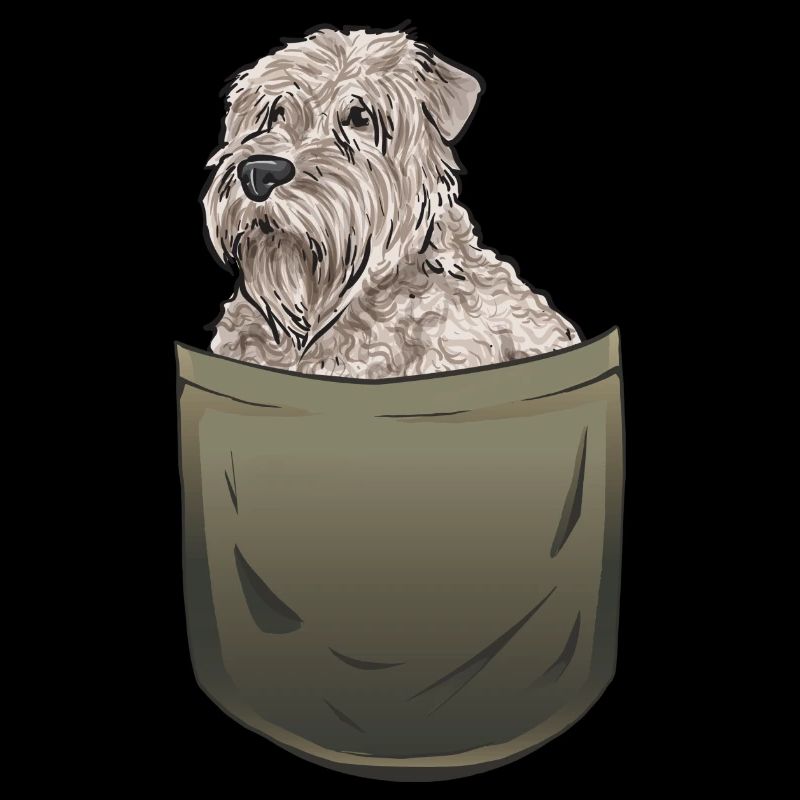 Irish Soft Coated Wheaten Terrier