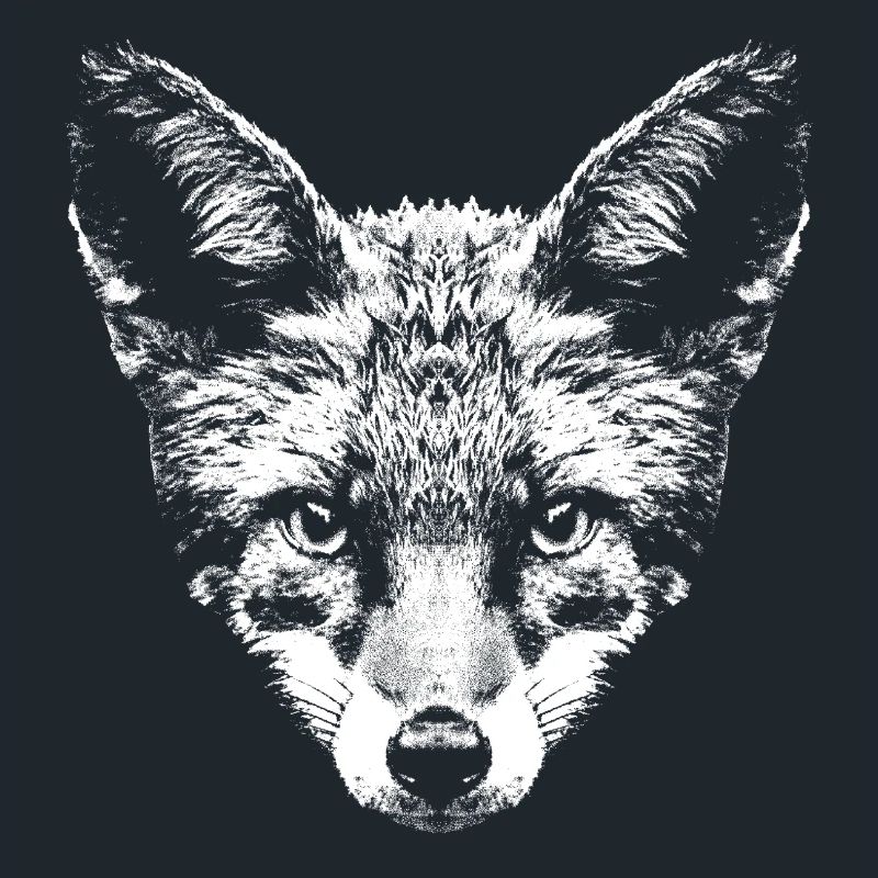 Fox / Fox / Head / Red Fox