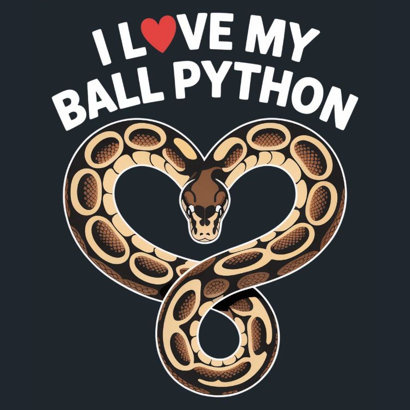 J’adore mon python royal ! Roi python