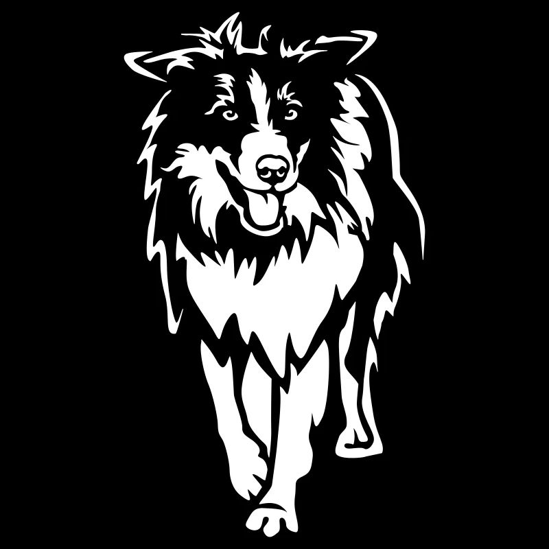 Border Collie "Black Edition"