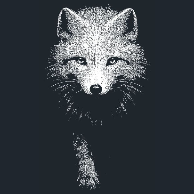Polarfuchs