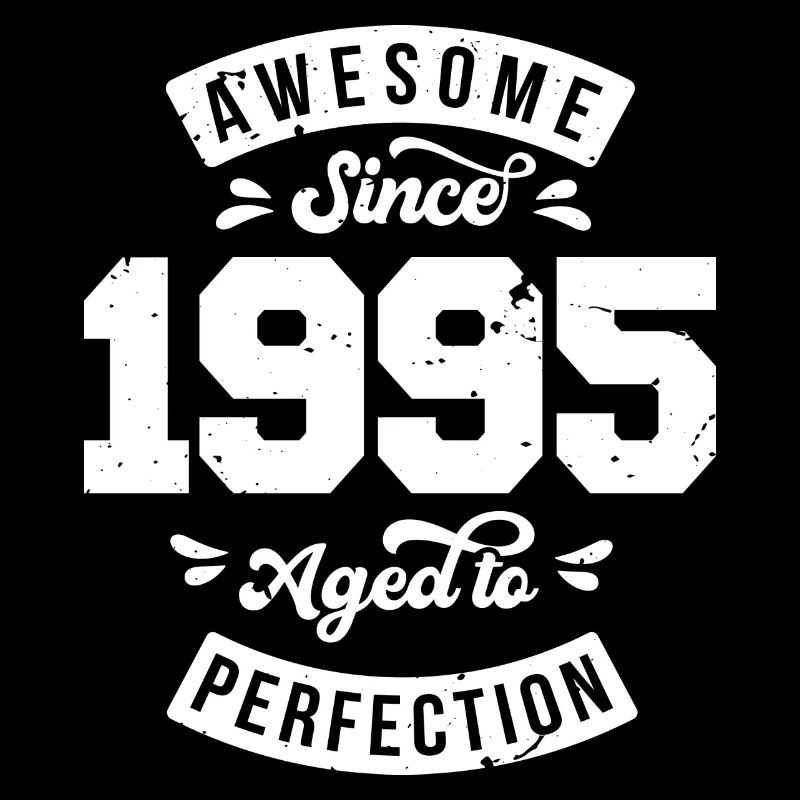 Vintage 1995 birthday - retro 1995