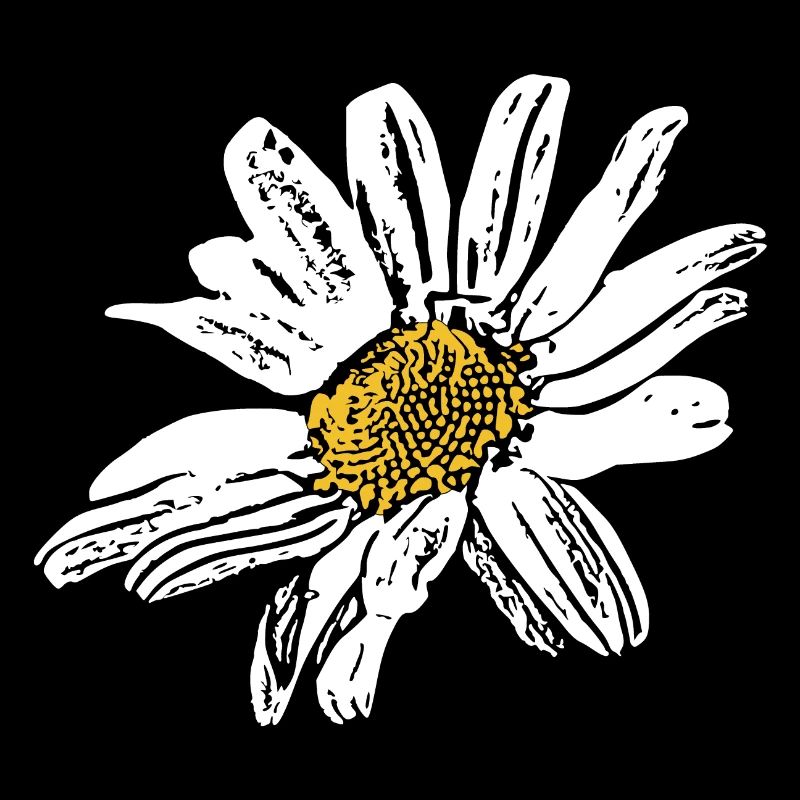 Cadeau de fleurs blanches