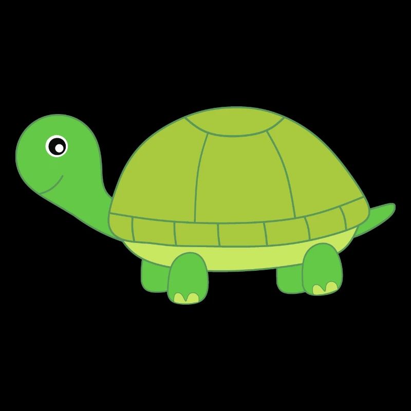 Turtle Turtles Tortue