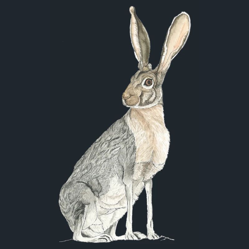 Rabbit with long spoons
