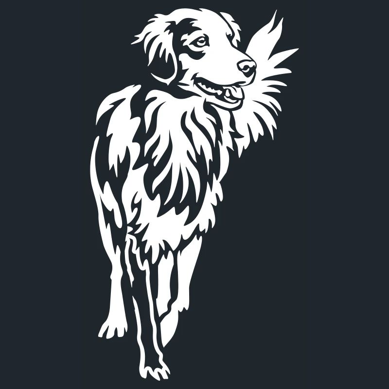 Duck tolling Retriever "Black Edition"