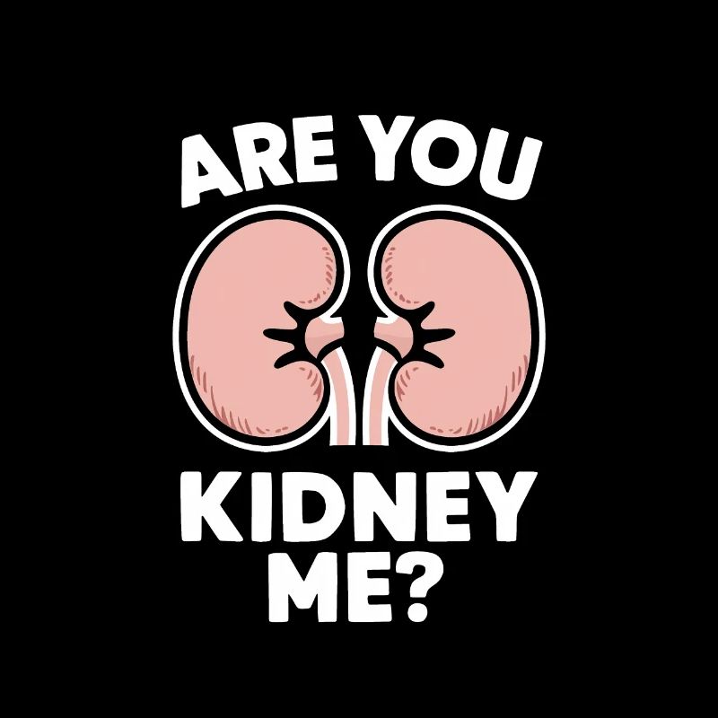 Nierenspender Niere Organspender
