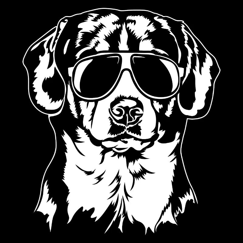 Entlebucher Sennenhund cool Hund Portrait Wilsigns