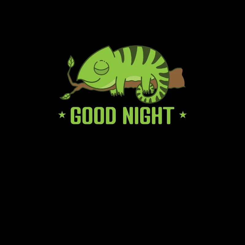 Pyjamas Good Night Dream Pyjamas