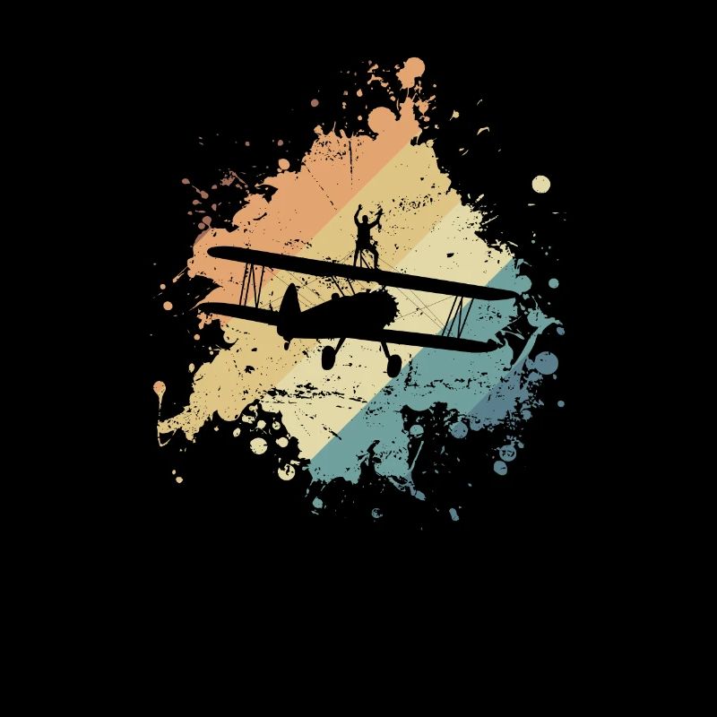 Wing Walker daredevil hobby