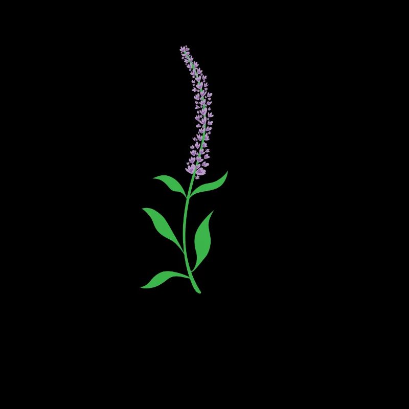 Herb, Lavender, Plant, Flower