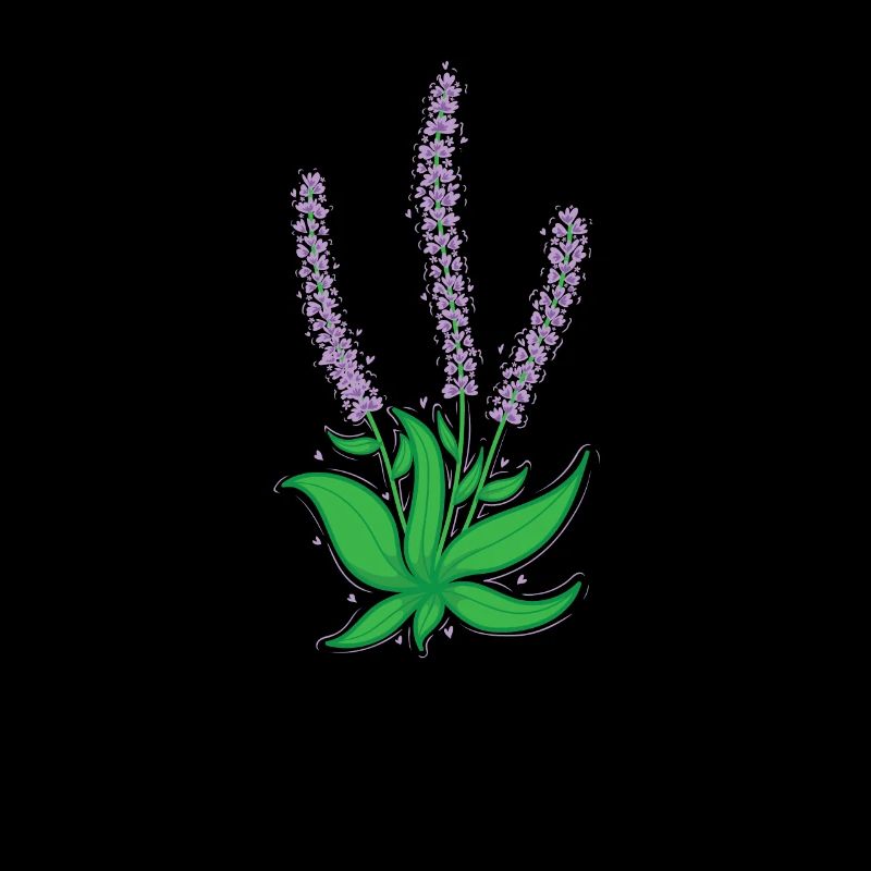 Pflanze Lavendel Garten Duft Kräuter