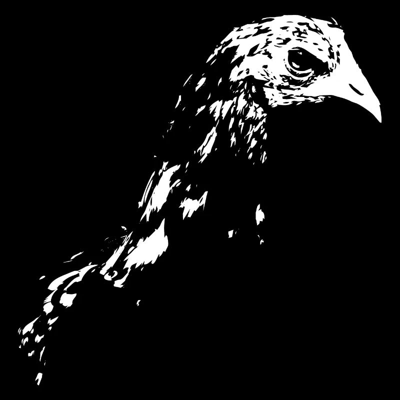 Poulet - Poulet fleur / Papier de poulet découpé