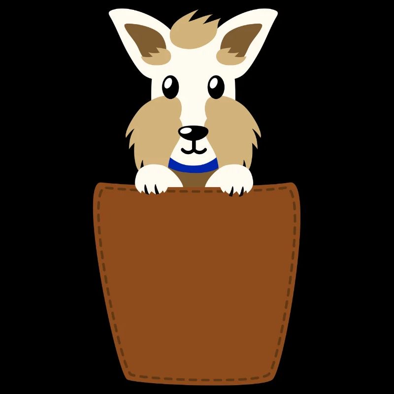 Schnauzer dans la poche poitrine