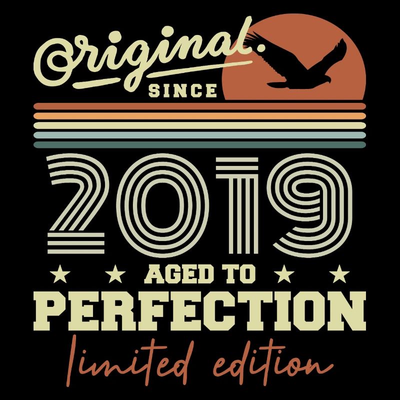 Original 2019 Geburtstagsgeschenk 2019 Retro 2019