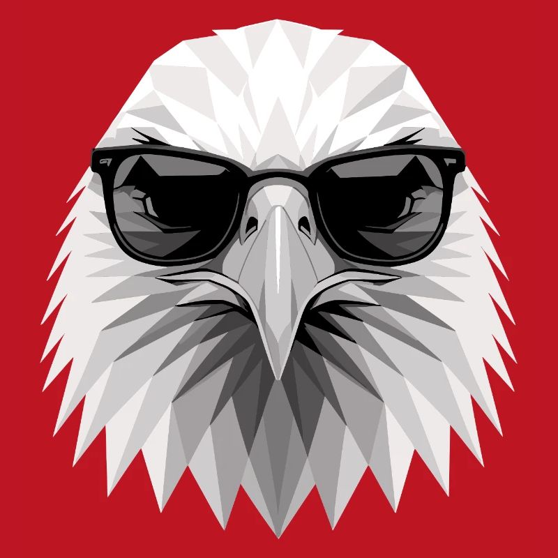 Eagle Bald Eagle Golden Eagle White-tailed Eagle