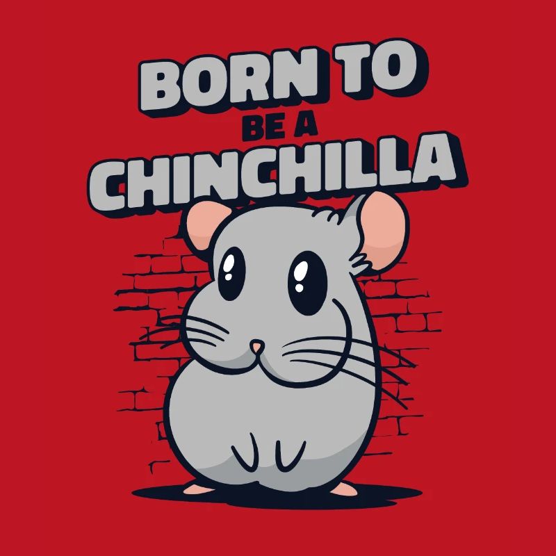 Né pour être un chinchilla à queue courte longue queue