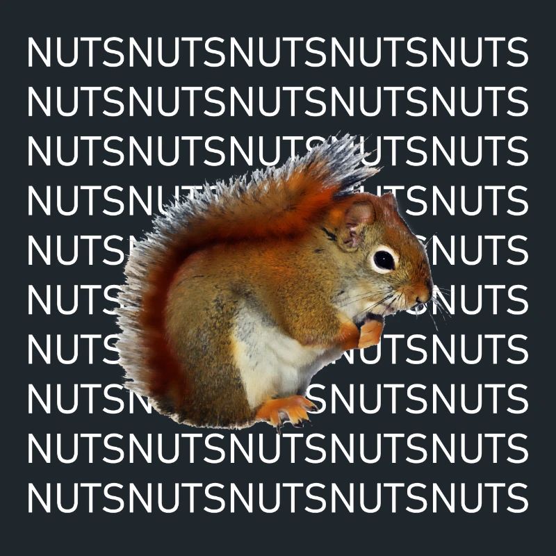 Squirrel photo nuts tree forest animal gift