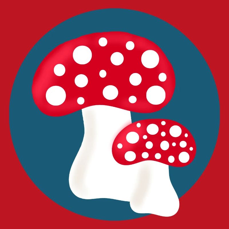 Toadstool, mushroom in the woods gift