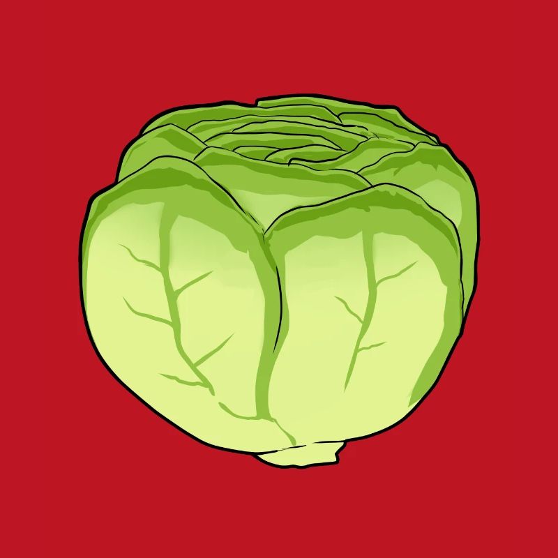 Lettuce Salad Cabbage Cabbage Head Vegetable Kitchen