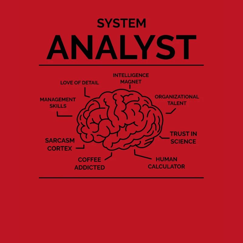 Analyste de systèmes