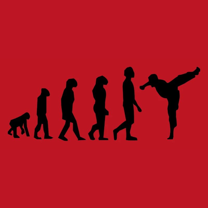 Martial arts evolution