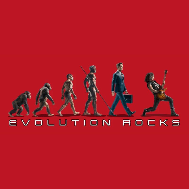 Evolution Guitariste