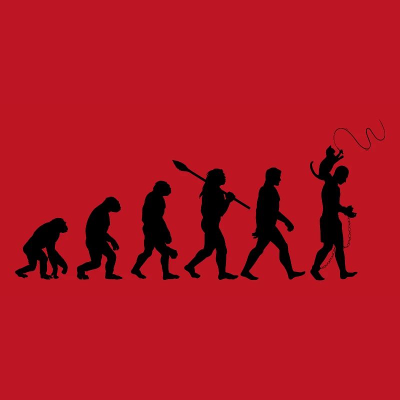 L'évolution du chat