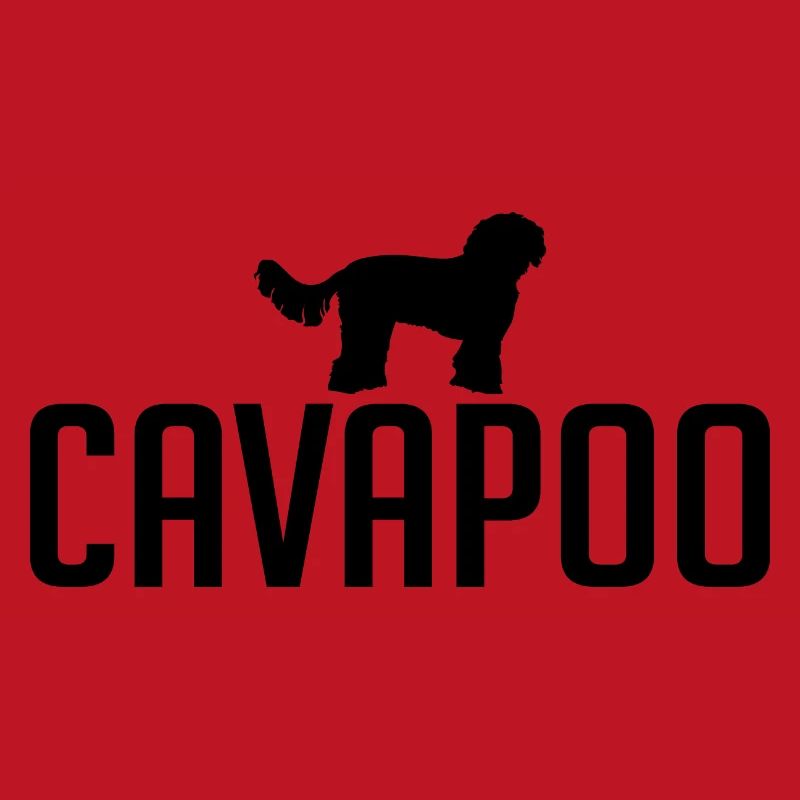 Cavapoo Dog breeds Dogs Wilsigns