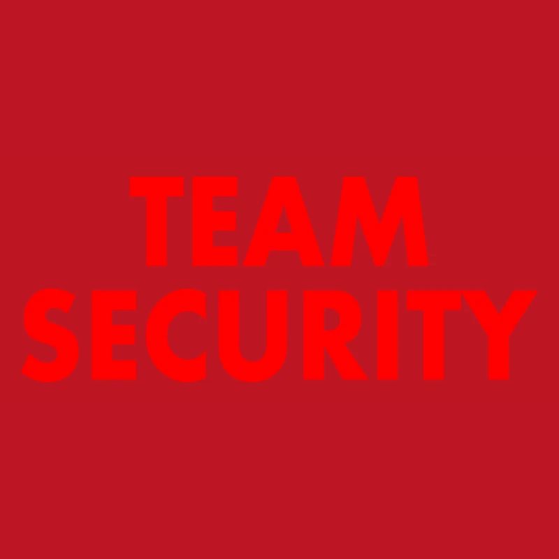 Team security