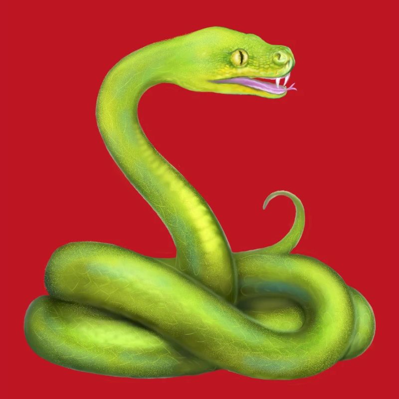 L’animal de la jungle du serpent python vert