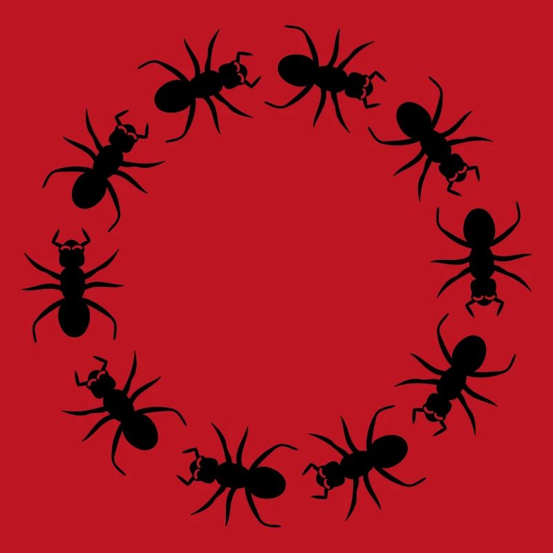 District d'insecte fourmi