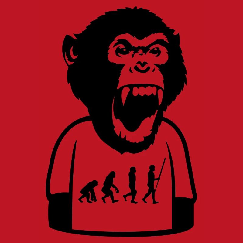 Affe Evolution