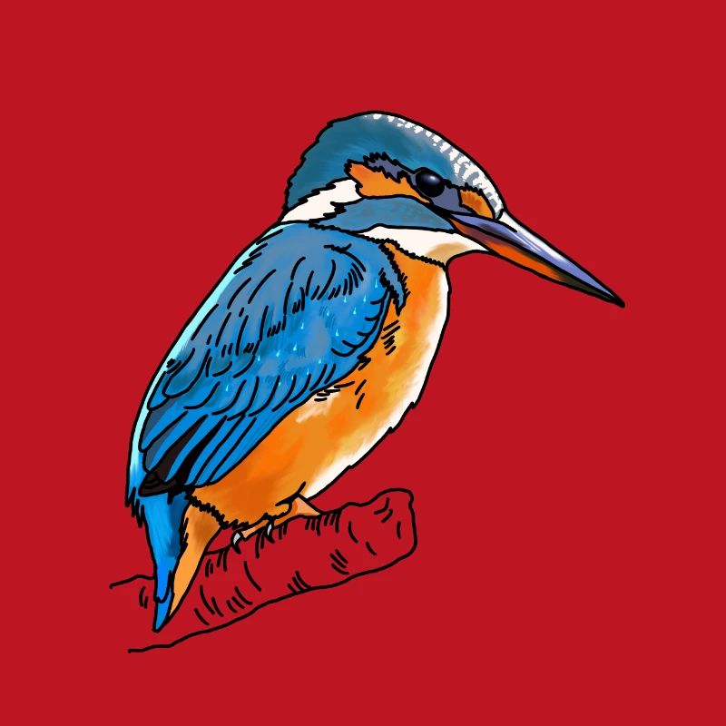 Eisvogel