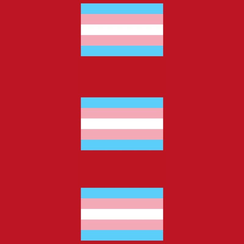 Trans Pride Flags  