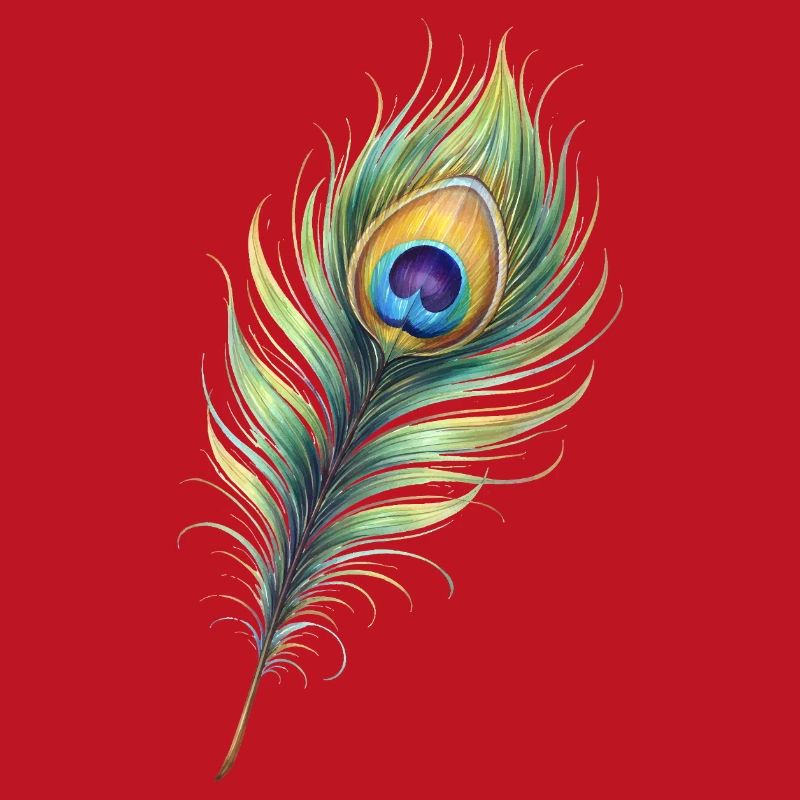 Peacock Feather Illustration Gradient Elegant