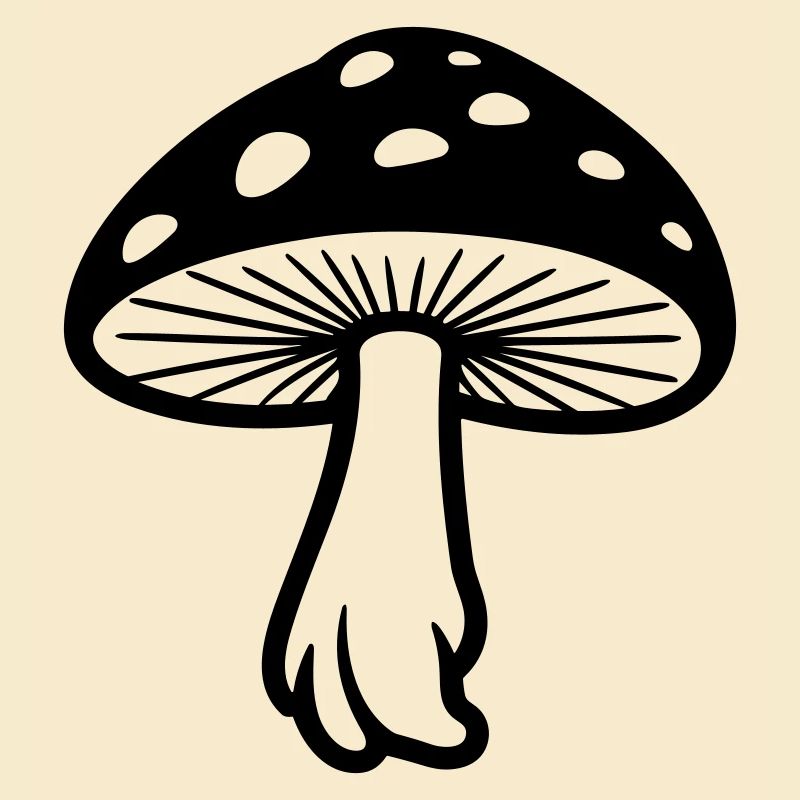 champignon