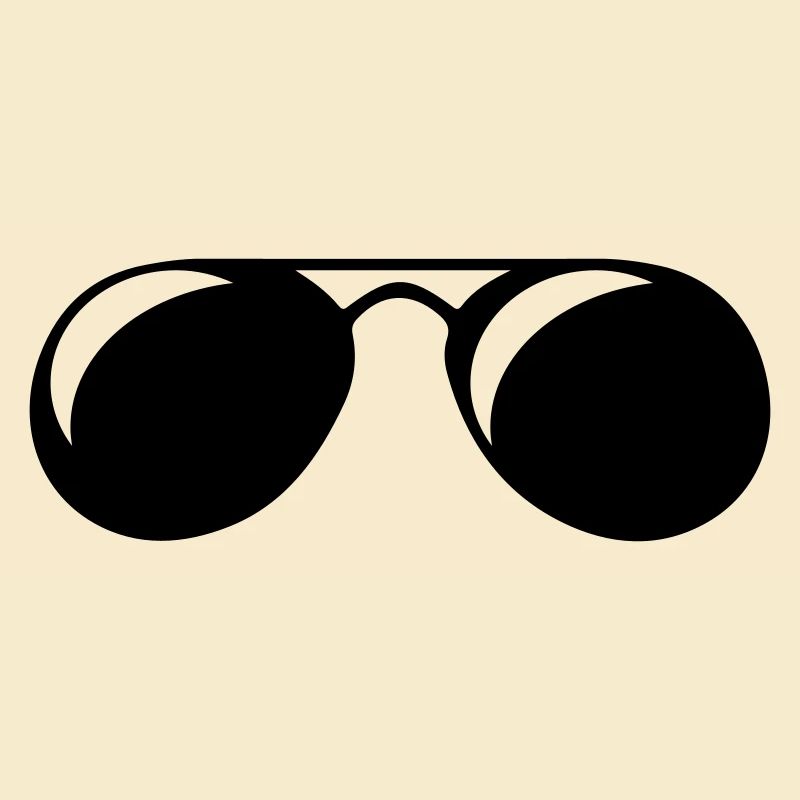 lunettes de soleil