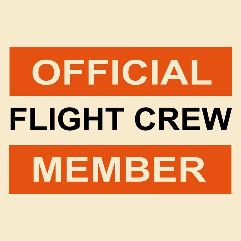 Flugzeug Pilot Flieger
