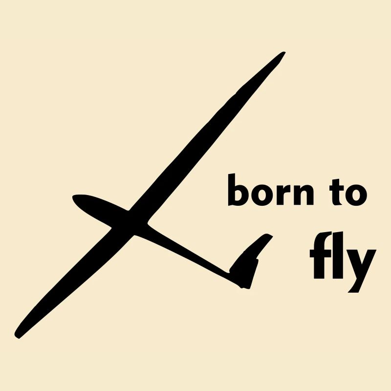 Glider Glider Glider Pilot Pilot