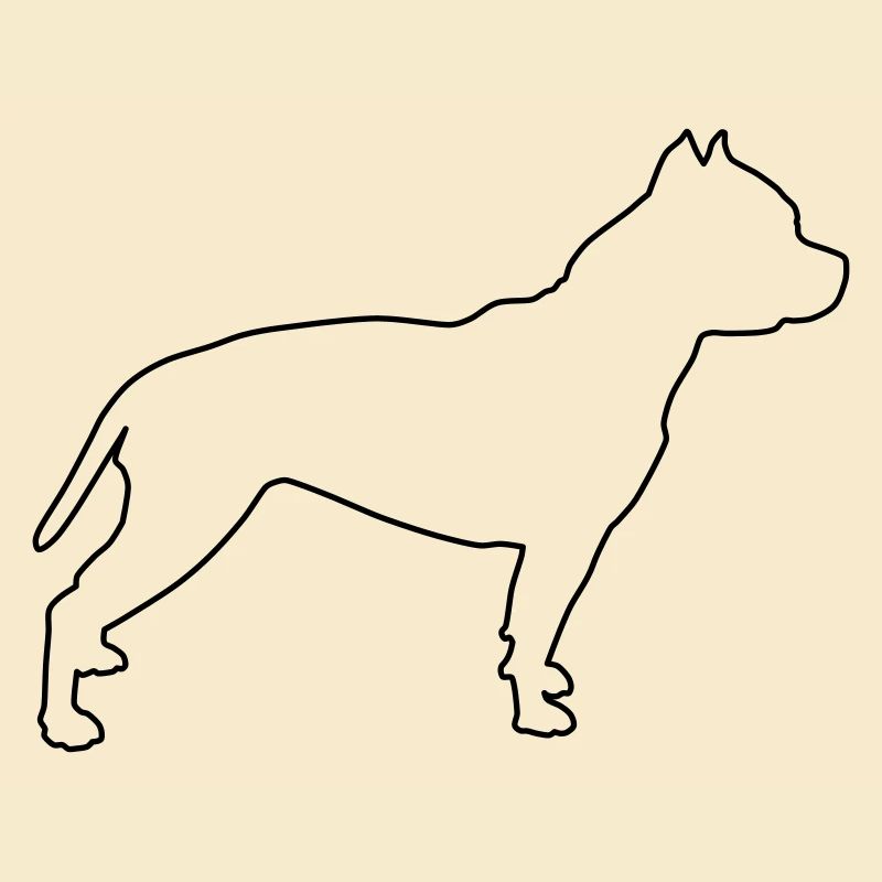 Contours de Pitbull 1