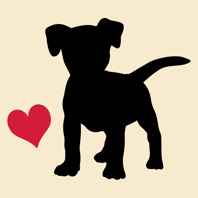 Jack Russell Terrier