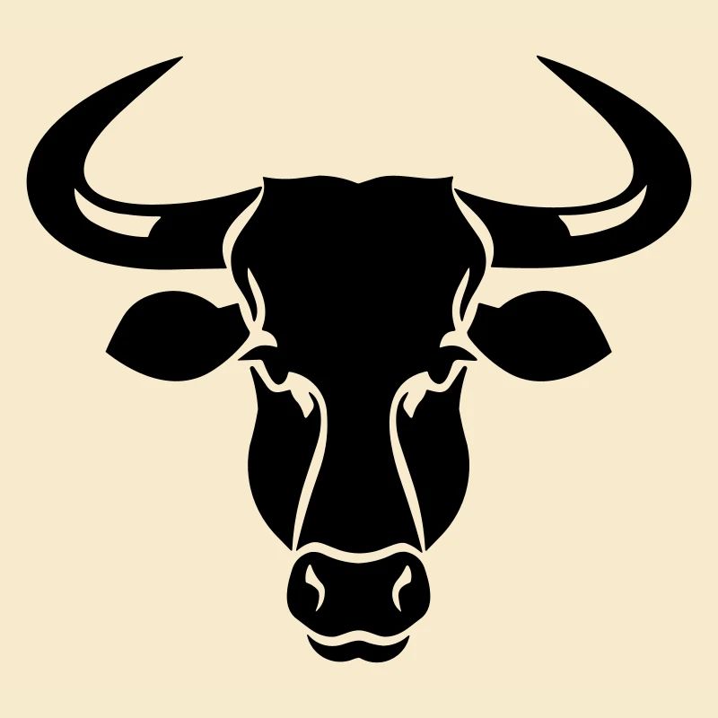 Toro