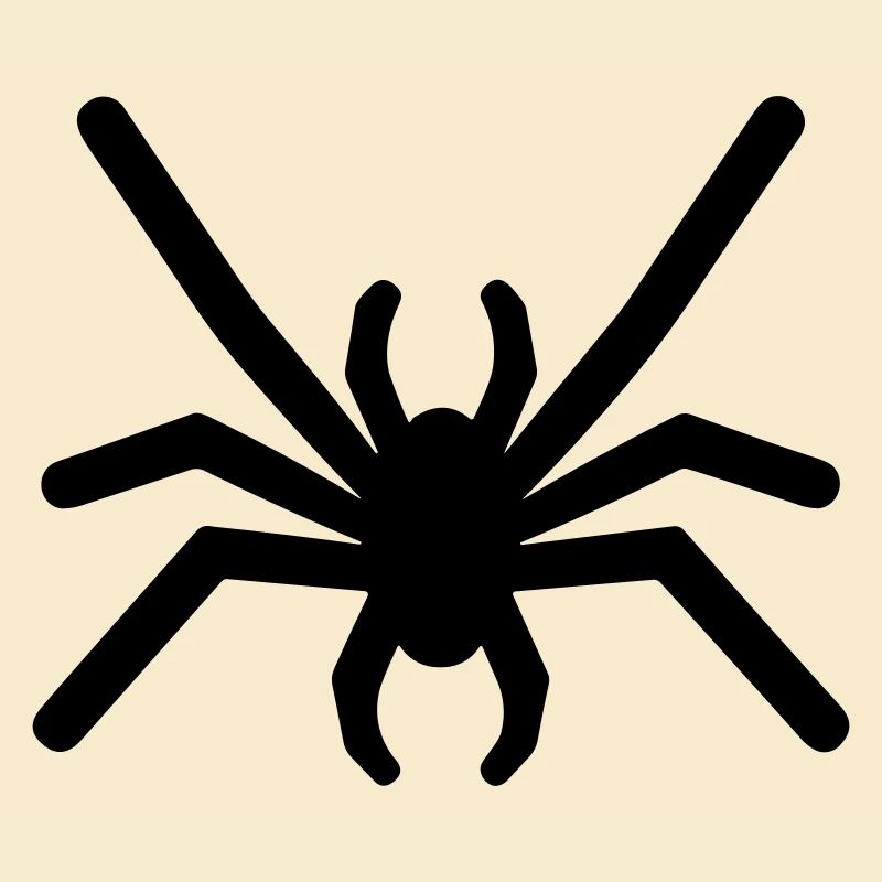 Spinne
